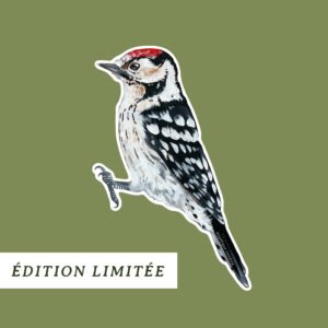 Sticker mural pic épeichette (édition limitée)