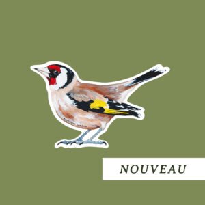 Sticker mural chardonneret élégant