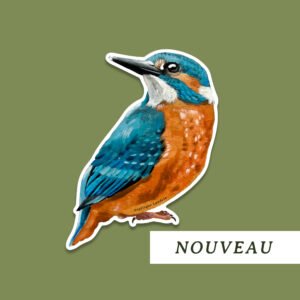 Sticker mural martin-pêcheur