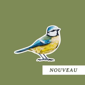 Sticker mural mésange bleue posée