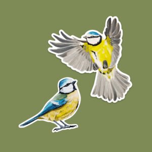 Stickers muraux duo de mésanges bleues