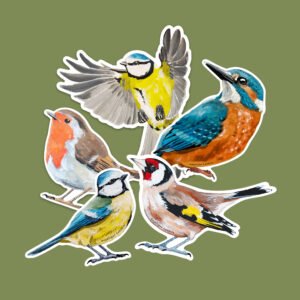 Stickers muraux collection de 5 oiseaux